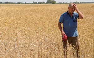 Biển Đen trở thành chiến trường nóng rẫy, nông dân Ukraine 'đau đớn' vì 'sống dở chết dở'