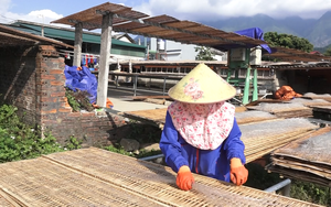 Làm ra sợi miến dong trong veo, nông dân một nơi ở Lai Châu tự trả lương tốt, lại tạo vô số việc làm