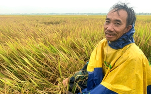 Bộ trưởng Bộ NNPTNT Lê Minh Hoan gợi mở hướng tăng thu nhập cho người trồng lúa