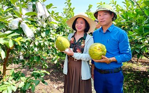Vườn mẫu nông thôn mới của một nông dân đạt giải Nhất cuộc thi ở huyện Nghĩa Đàn của Nghệ An