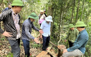 Sốt ruột vì thông tin phá rừng ở huyện Như Xuân, Phó Chủ tịch UBND tỉnh Thanh Hóa trực tiếp vào rừng kiểm tra