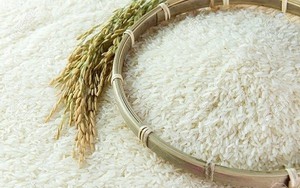 Giữ chân giá lúa gạo trong nước khi giá xuất khẩu tăng vọt