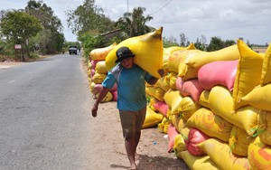 Một tháng sau động thái của Ấn Độ, giá một loại nông sản của Việt Nam vượt lên cao nhất thế giới