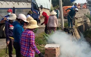 Huyện nghèo Cần Giờ chi hơn 100 tỷ xóa điểm ngập, ô nhiễm môi trường