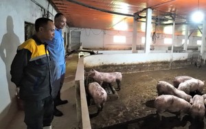Tỷ phú nuôi lợn 5 lần 7 lượt suýt phá sản ở Hải Dương là Nông dân Việt Nam xuất sắc 2023