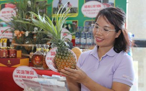 Hội Nông dân Bắc Giang hỗ trợ HTX xây dựng thương hiệu sản phẩm OCOP, nâng cao thu nhập