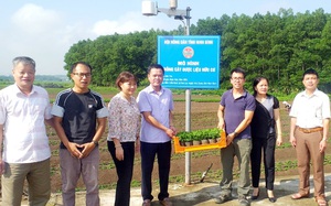 Hội Nông dân tỉnh Ninh Bình gắn biển mô hình trồng cây dược liệu hữu cơ tại huyện Nho Quan