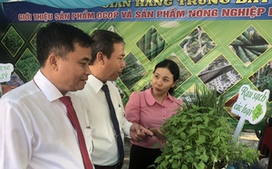 Bình Thuận: Phát triển ngành nông nghiệp hiện đại, bền vững, có giá trị gia tăng cao