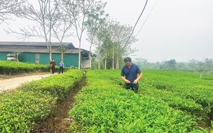 Ở một xã tại Hà Giang, người dân trên dưới không ai bảo ai đều đồng lòng hiến đất làm đường nông thôn mới