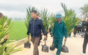 Hà Giang: Hoàn thiện hạ tầng, nông thôn Vị Xuyên khởi sắc 