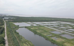 WWF lên tiếng về vụ "cắt" Khu bảo tồn thiên nhiên Tiền Hải, quy hoạch đô thị, sân golf