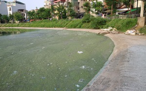 Hồ Linh Quang (quận Đống Đa) có màu nước &quot;xanh lạ&quot; 