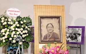 Ngỡ ngàng bức tranh chân dung bà Nguyễn Thị Định được làm từ lá sen 
