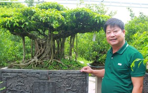Trồng cây cảnh phát tài, anh nông dân Nam Định vinh dự được Thủ tướng Chính phủ tặng Bằng khen