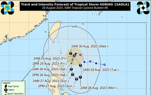 Tin bão Saola mới nhất: Bão Saola mạnh lên nhanh chóng, liệu có đi vào biển Đông không?