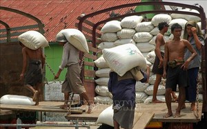 Nóng: Thêm Myanmar có thể hạn chế xuất khẩu gạo