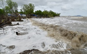Có tới 6 đoạn bờ biển sạt lở đặc biệt nguy hiểm, tỉnh Cà Mau công bố tình huống khẩn cấp về thiên tai