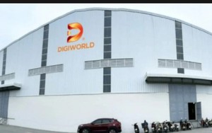 Digiworld chốt ngày phát hành hơn 50 triệu cổ phiếu trả cổ tức 2023 - Ảnh 4.