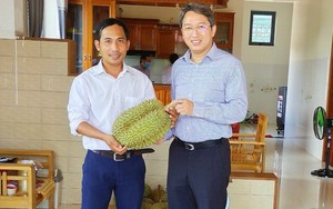 Trai làng Khánh Hòa trồng loại quả ngon, đưa khách du lịch vào ai cũng mê, Bí thư Tỉnh ủy đến thăm