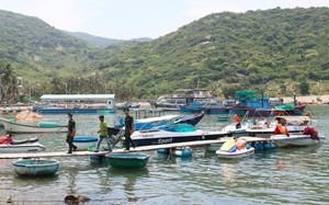 Điều tra vụ tai nạn làm 6 du khách bị thương trên vịnh Vĩnh Hy ở Ninh Thuận