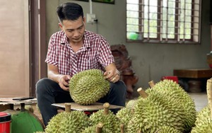 Bán đến 90% một loại trái cây cho Trung Quốc, Việt Nam dự kiến thu 1,2 - 1,3 tỷ USD