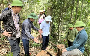 Thanh Hoá vận động dân tố giác đối tượng có hành vi khai thác rừng trái pháp luật