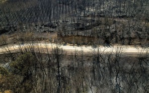 Những hình ảnh biết nói ở Hy Lạp về vụ &quot;cháy rừng lớn nhất Châu Âu&quot;