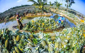 OCOP Hậu Giang: Bún khô Huỳnh Đức - loại đặc sản sinh ra từ làng sẵn sàng bước ra thị trường quốc tế- Ảnh 5.