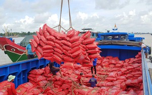 Giá lúa hè thu tăng cao chưa từng có, nông dân Bình Định phấn khởi vì thu lãi lớn- Ảnh 4.