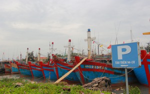 Chống khai thác IUU, Nam Định xử phạt nhiều tàu cá vi phạm pháp luật