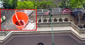 Cháy nhà ở Hà Nội: Bà kể khoảnh khắc đặt cháu vào xô rồi thả dây từ tầng 3