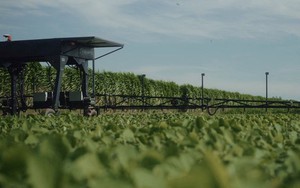 Robot nông nghiệp có thể theo dõi, phun thuốc và bảo vệ cây trồng