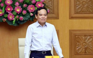Phê duyệt danh sách nhân sự Tổ công tác Cải cách Thủ tục Hành chính, Phó Thủ tướng Trần Lưu Quang làm Tổ trưởng