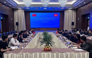 Việt - Trung đàm phán vòng 16 về hợp tác các lĩnh vực ít nhạy cảm trên biển