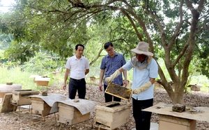 Phát triển làng nghề truyền thống gắn với du lịch: Hiệu quả kép trong phát triển kinh tế tại Hà Nội