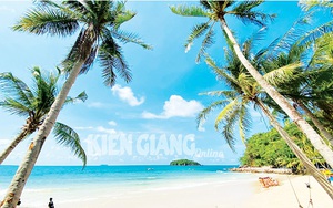 Những hòn đảo ở Kiên Giang, cách Phú Quốc gần thôi, hoang sơ thế này, các cây dừa nghiêng đẹp như phim