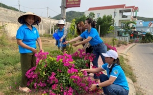 Đường hoa nông thôn mới ở Bình Định đang đẹp lên, có nơi trồng đường hoa giấy rực rỡ