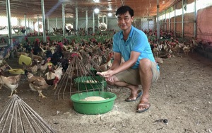 Nuôi gà doanh thu 10 tỷ, một nông dân giỏi của Hà Nội được Thủ tướng Chính phủ tặng Bằng khen