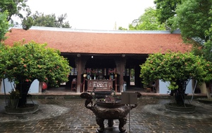 Đền thờ một vị "Tứ bất tử" ở Hưng Yên (Bài 1): Hai cây mẫu đơn cổ thụ dân làng ví như báu vật