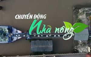 Chuyển động Nhà nông 7/8: Thủ tướng chỉ thị đảm bảo an ninh lương thực, thúc đẩy sản xuất, xuất khẩu gạo bền vững