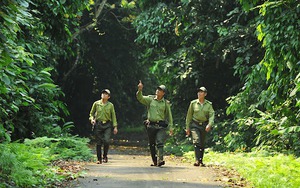 Cúc Phương 5 năm liền nhận danh hiệu vườn quốc gia hàng đầu châu Á 