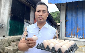 Bỏ việc khách sạn "sang chảnh", trai Thanh Hóa về quê nuôi gà đẻ trứng, thu 2 tỷ/năm