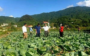 Hội Nông dân Hà Giang với điểm nhấn về phong trào nông dân thi đua sản xuất, kinh doanh giỏi