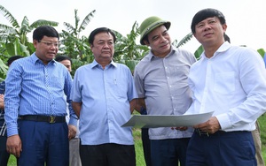 Bộ trưởng Bộ NNPTNT Lê Minh Hoan trực tiếp kiểm tra tình trạng sạt lở bờ sông tại tỉnh Phú Thọ