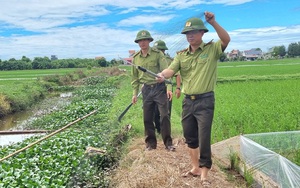 Ninh Bình: Liên tiếp tiêu hủy hàng trăm mét lưới dùng bẫy chim hoang dã sau phản ánh của Dân Việt