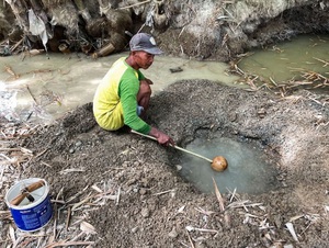 Tuyệt vọng vì hạn hán, dân làng Indonesia đào đáy sông để lấy nước