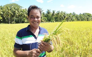 Mô hình trồng 6 ha lúa, sắm 8 máy gặt ở Trà Vinh của một Nông dân Việt Nam xuất sắc 2023 