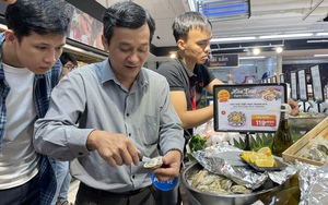 Hàu đặc sản Khánh Hòa chuẩn sashimi hiếm hoi xuất hiện tại siêu thị TP.HCM với giá sốc