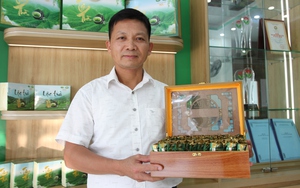 Gây dựng thương hiệu trà sạch, ông nông dân Thái Nguyên được bình chọn là Nông dân Việt Nam xuất sắc 2023