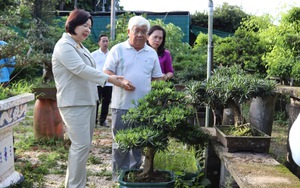 Tỷ phú nông dân xuất ngoại học làm bonsai, về nước 'bán mà không buông' 